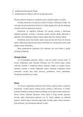 Karštai rūkytų mėsos gaminių gamybos skyriaus projektavimas 8 puslapis