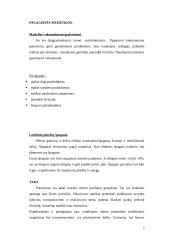 Karštai rūkytų mėsos gaminių gamybos skyriaus projektavimas 10 puslapis