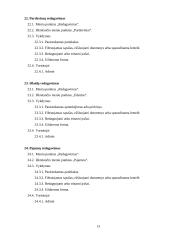 Kavinės duomenų tvarkymo programa 13 puslapis