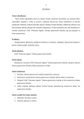 Klientų aptarnavimo kokybės vertinimas: UAB "Westtrans logistic" 2 puslapis