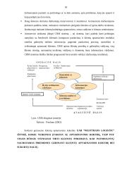 Klientų aptarnavimo kokybės vertinimas: UAB "Westtrans logistic" 17 puslapis