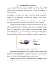 Komandinio darbo ypatumai pokyčių sąlygomis 13 puslapis
