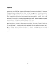 Kombinatorikos algoritmai: Optimalus karinių taikinių naikinimas 3 puslapis