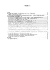 Konstitucinio teismo vieta valdžių sistemoje 2 puslapis