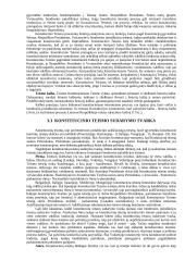 Konstitucinio teismo vieta valdžių sistemoje 16 puslapis