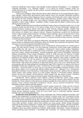 Konstitucinio teismo vieta valdžių sistemoje 17 puslapis