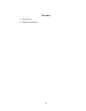 Krepšelio gamybos technologija: UAB "Oleva" 11 puslapis