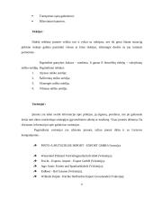 Krepšelio gamybos technologija: UAB "Oleva" 6 puslapis