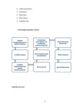 Krepšelio gamybos technologija: UAB "Oleva" 8 puslapis