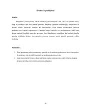 Krepšelio gamybos technologija: UAB "Oleva" 10 puslapis