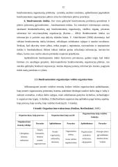 Kretingos rajono kaimo plėtros asociacijos veiklos organizavimo gerinimas 12 puslapis