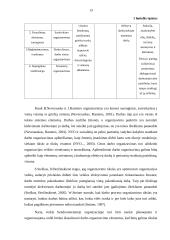 Kretingos rajono kaimo plėtros asociacijos veiklos organizavimo gerinimas 13 puslapis