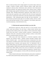 Kretingos rajono kaimo plėtros asociacijos veiklos organizavimo gerinimas 6 puslapis