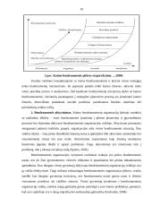 Kretingos rajono kaimo plėtros asociacijos veiklos organizavimo gerinimas 10 puslapis