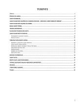 Laiko panaudojimas 2 puslapis