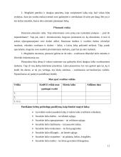 Laiko panaudojimas 11 puslapis