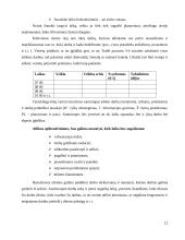 Laiko panaudojimas 12 puslapis