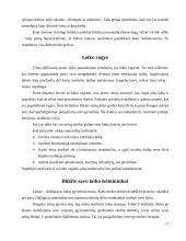 Laiko panaudojimas 17 puslapis