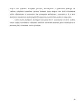 Laiko panaudojimas 20 puslapis