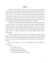 Laiko panaudojimas 3 puslapis