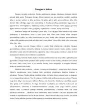 Laiko panaudojimas 4 puslapis