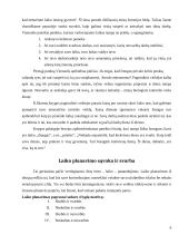 Laiko panaudojimas 6 puslapis