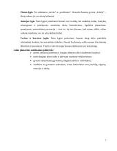 Laiko panaudojimas 7 puslapis