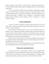 Laiko panaudojimas 9 puslapis