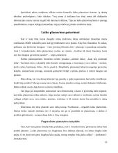 Laiko panaudojimas 10 puslapis