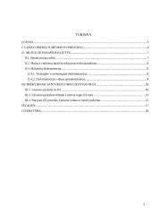 Laisvas prekių judėjimas ES 2 puslapis