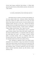 Laivų sistemos 12 puslapis