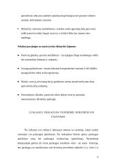 Laivų sistemos 10 puslapis