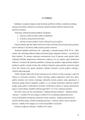 Lietuvos Respublikos (LR) bausmes vykdančių institucijų sistema 13 puslapis