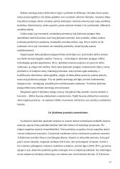 Lietuvos Respublikos (LR) bausmes vykdančių institucijų sistema 17 puslapis