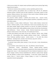 Lietuvos Respublikos (LR) teismų sistema 13 puslapis