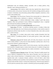 Lietuvos Respublikos (LR) teismų sistema 3 puslapis