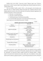 Masinio aptarnavimo sistemų teorijos praktinis taikymas 5 puslapis