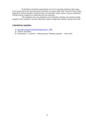 Minimalus mėnesinis atlyginimas 2003–2007 metais 12 puslapis