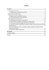 Moteriškas švarkas 2 puslapis