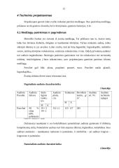 Moteriškas švarkas 12 puslapis