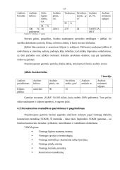 Moteriškas švarkas 13 puslapis