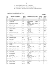 Moteriškas švarkas 15 puslapis