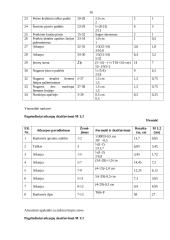 Moteriškas švarkas 16 puslapis