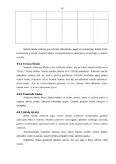 Moteriškas švarkas 18 puslapis