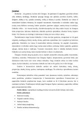 Moteriškas švarkas 3 puslapis