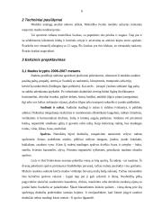 Moteriškas švarkas 6 puslapis