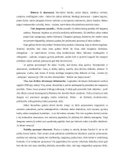 Moteriškas švarkas 7 puslapis