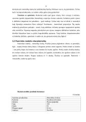 Moteriškas švarkas 8 puslapis