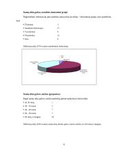 Namų ūkio biudžeto statistinių duomenų tyrimas 11 puslapis