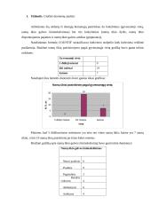 Namų ūkių biudžetų tyrimo statistinė analizė 3 puslapis